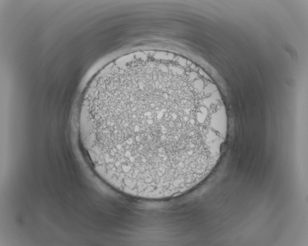 X0000112781522200910011247