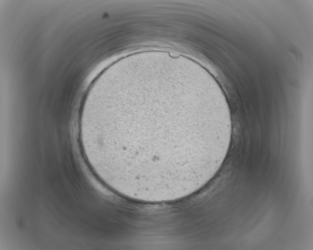 X0000112781523200910011247