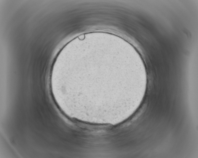 X0000112781525200910011247