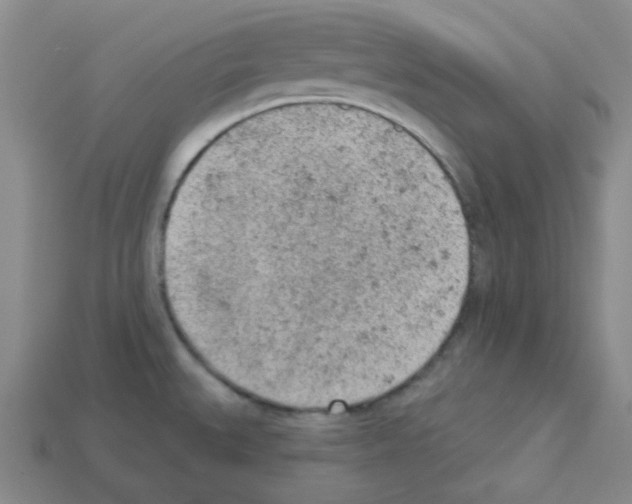 X0000112781527200910011247