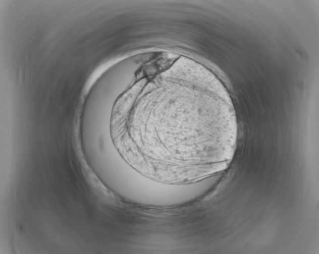 X0000112781530200910011247