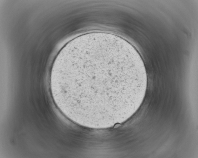 X0000112781531200910011247