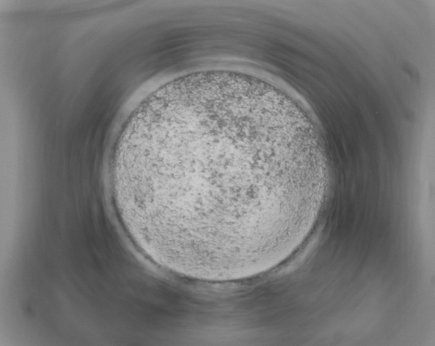 X0000112781533200910011247