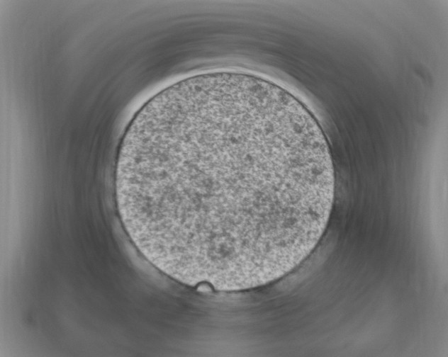 X0000112781534200910011247