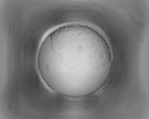 X0000112781536200910011247