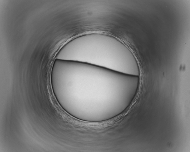 X0000112790001200908210950