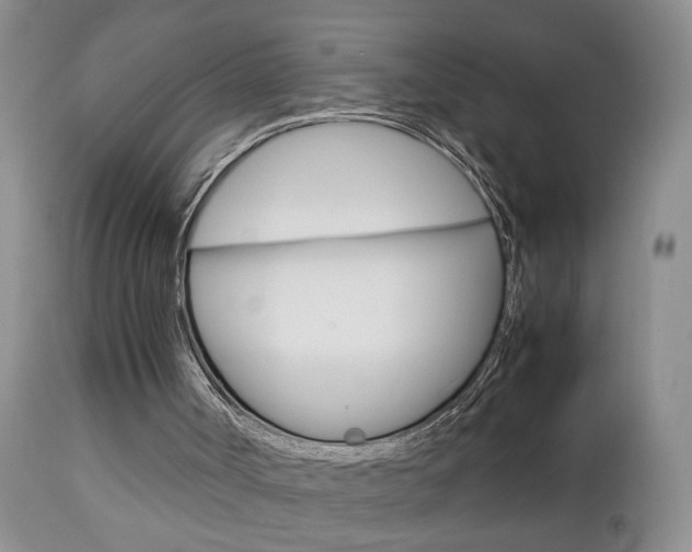 X0000112790002200908210950
