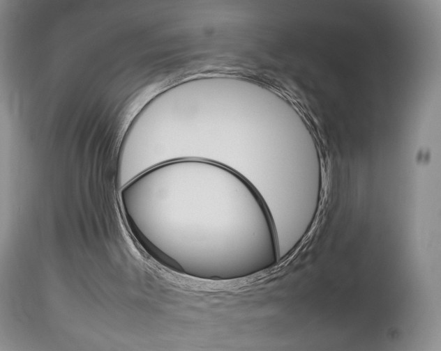 X0000112790003200908210950