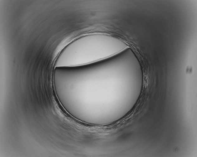 X0000112790004200908210950