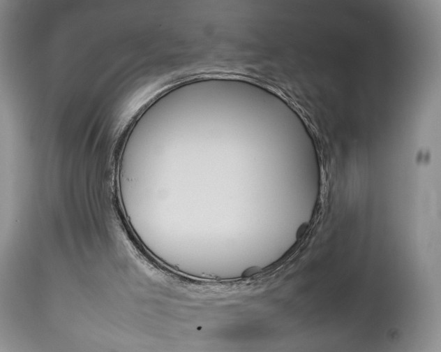 X0000112790005200908210950