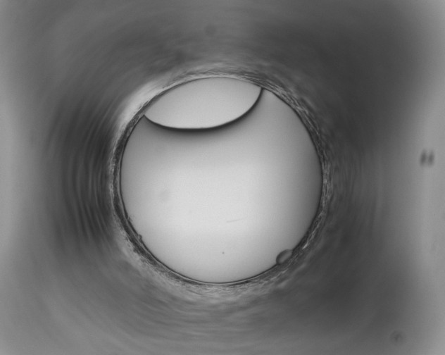X0000112790006200908210950