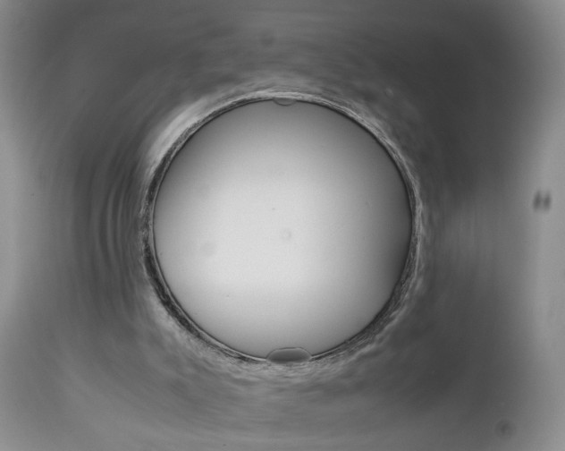 X0000112790007200908210950