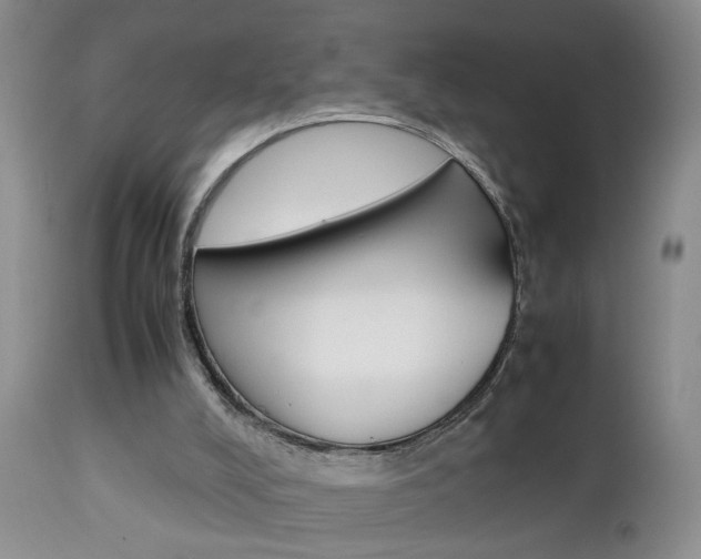 X0000112790008200908210950