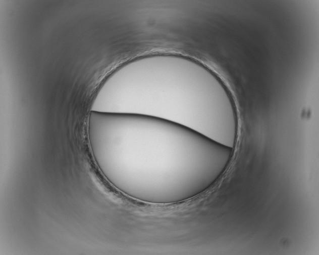 X0000112790009200908210950