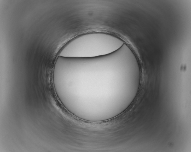 X0000112790010200908210950