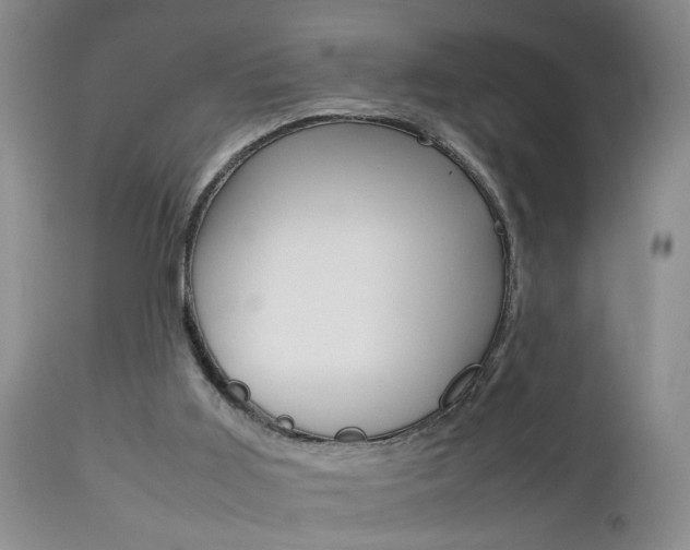 X0000112790011200908210950