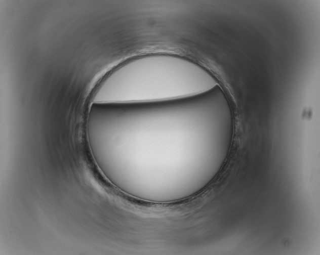 X0000112790012200908210950