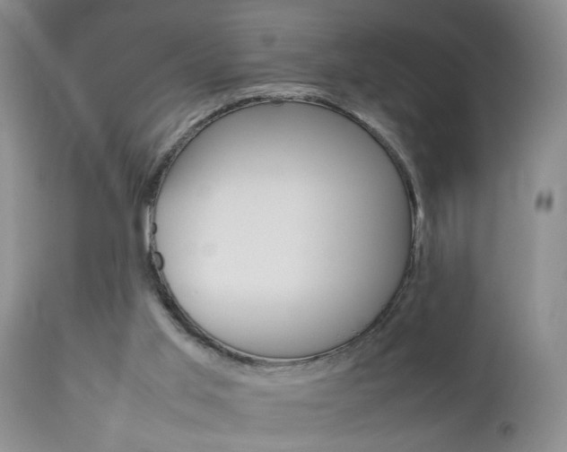 X0000112790013200908210950