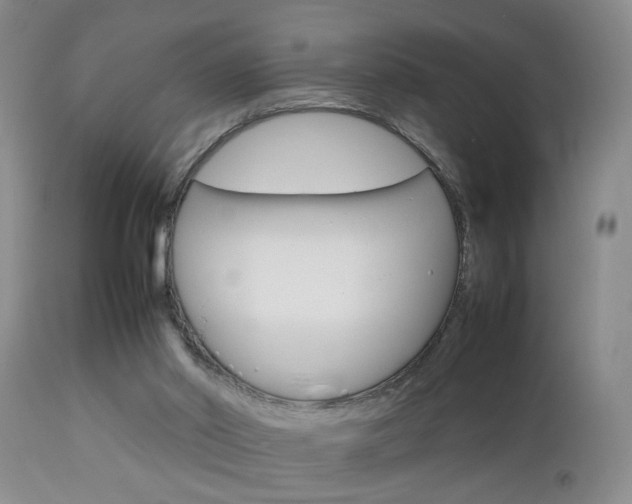 X0000112790014200908210950
