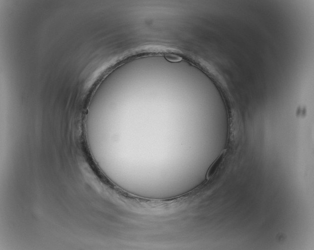 X0000112790015200908210950