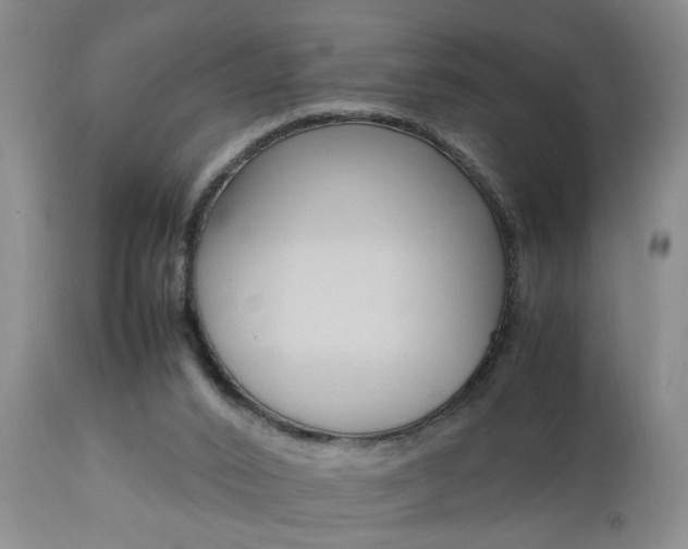 X0000112790016200908210950