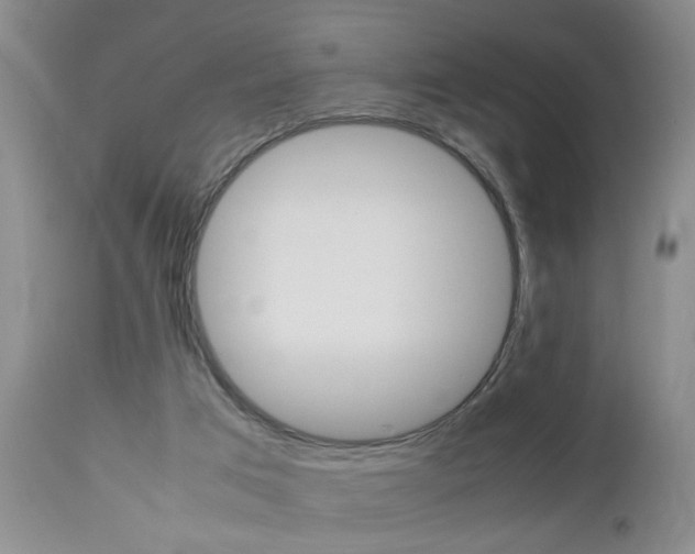 X0000112790017200908210950