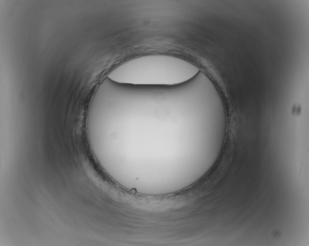 X0000112790018200908210950