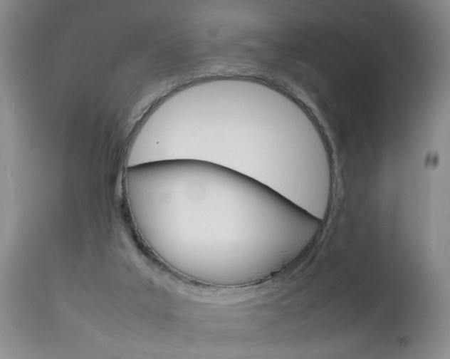 X0000112790019200908210950