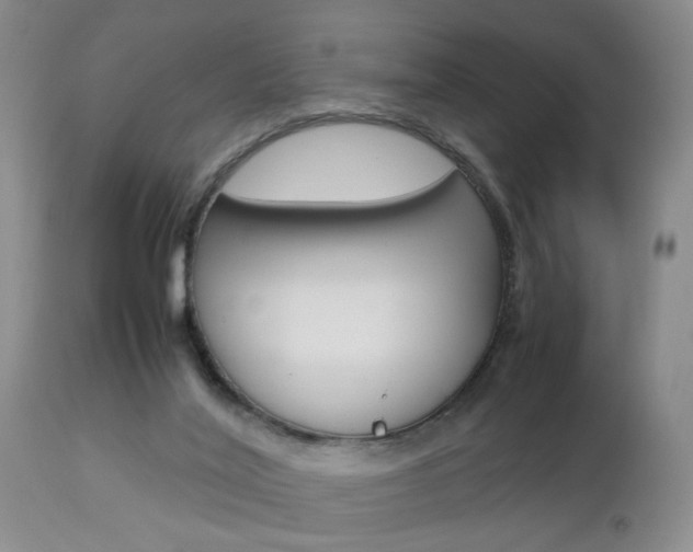 X0000112790020200908210950