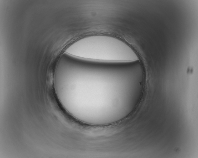 X0000112790021200908210950