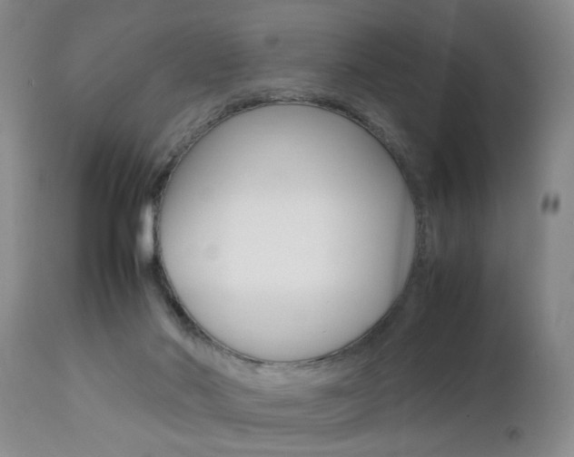 X0000112790022200908210950