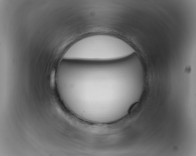 X0000112790024200908210950