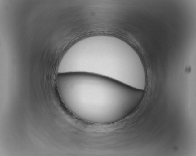 X0000112790025200908210950