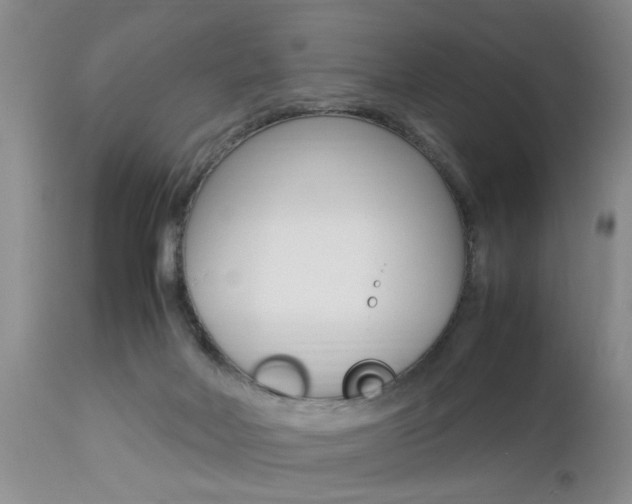 X0000112790026200908210950