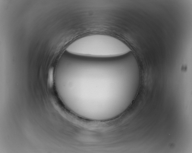 X0000112790028200908210950