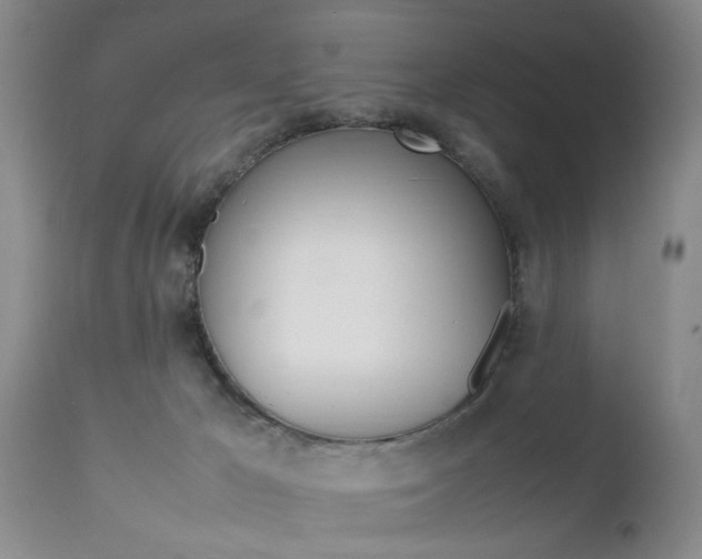 X0000112790029200908210950