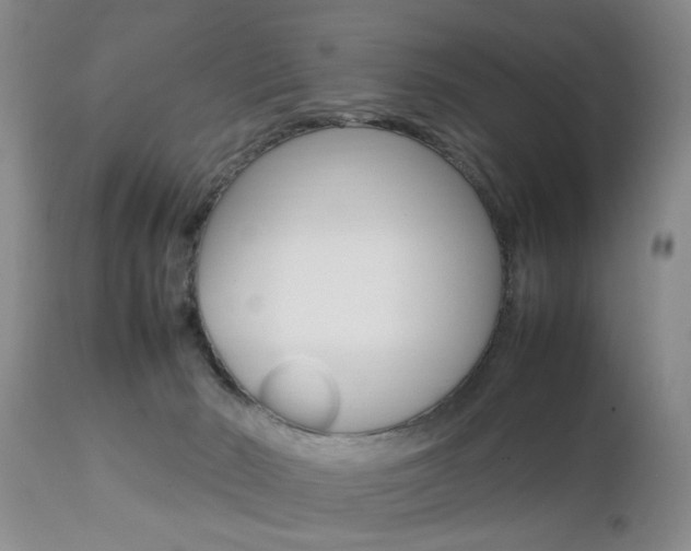 X0000112790030200908210950