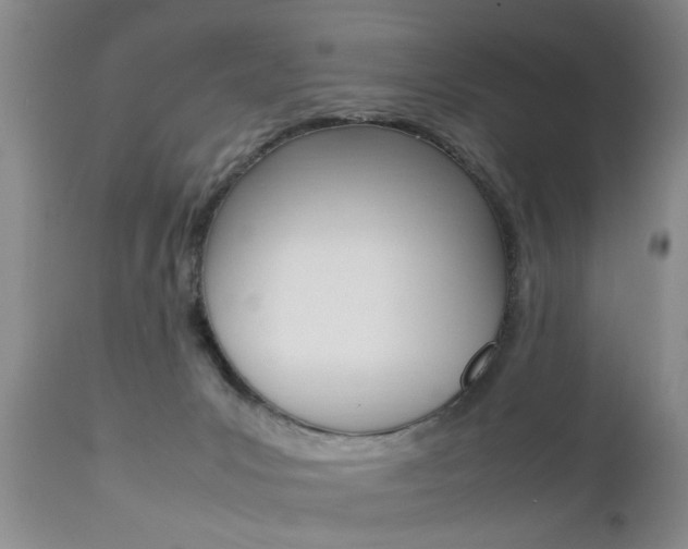 X0000112790031200908210950