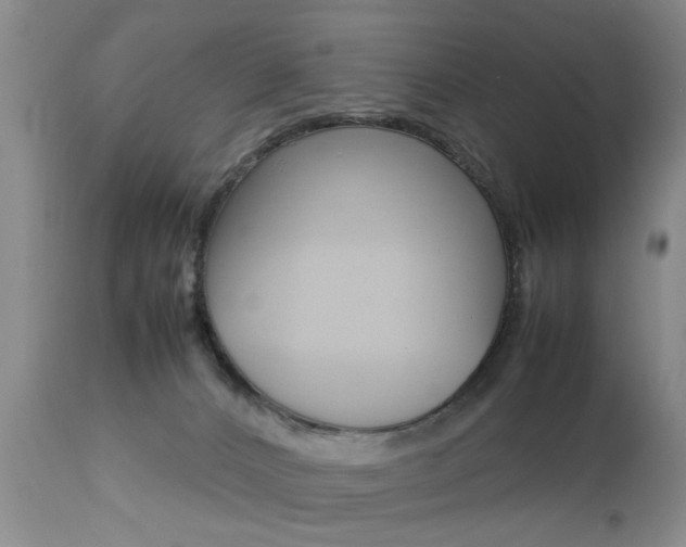 X0000112790032200908210950