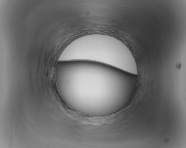 X0000112790033200908210950