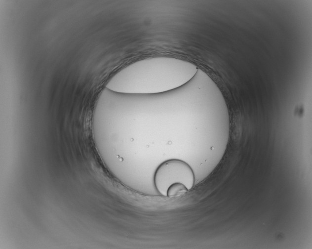 X0000112790034200908210950