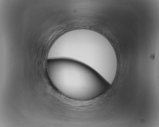 X0000112790035200908210950