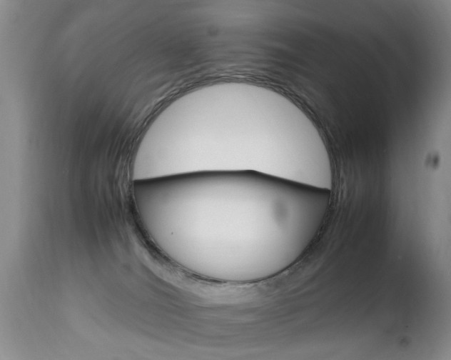 X0000112790036200908210950