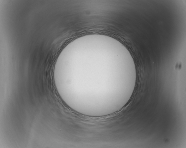 X0000112790037200908210950
