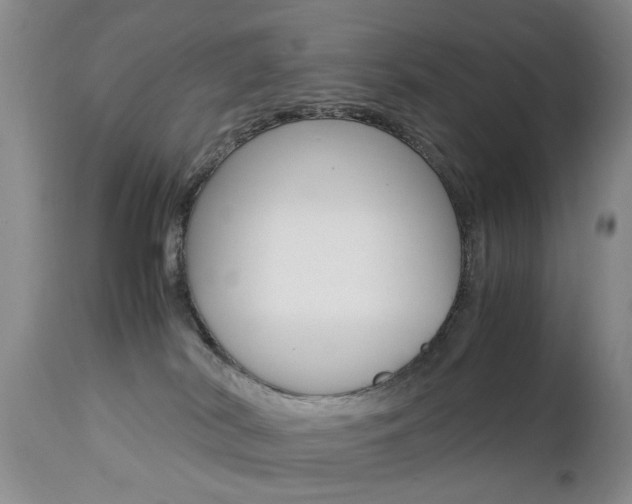 X0000112790038200908210950