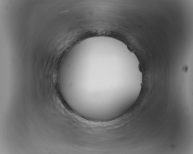 X0000112790039200908210949