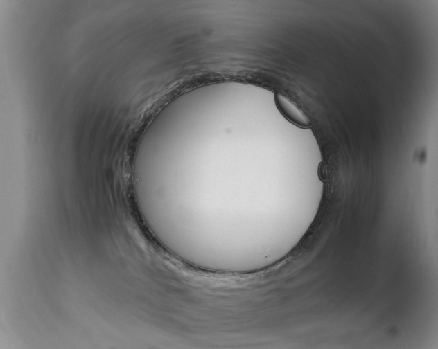 X0000112790040200908210949