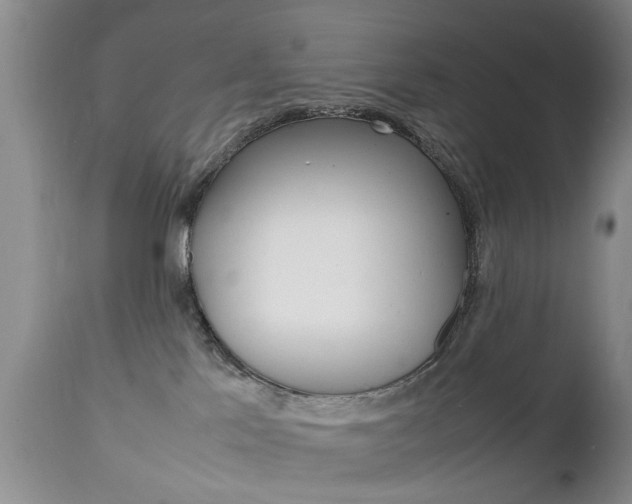 X0000112790041200908210949