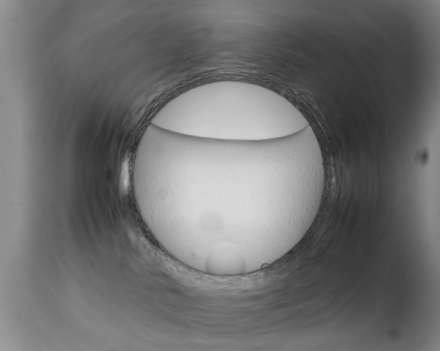 X0000112790042200908210949
