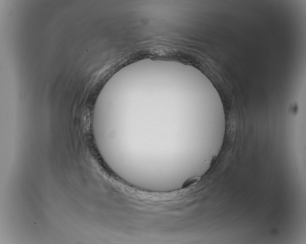 X0000112790043200908210949